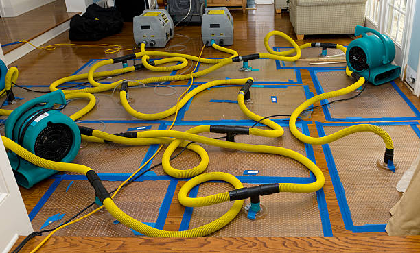 Professional Structural Drying And Dehumidification technician working in Southport, CT